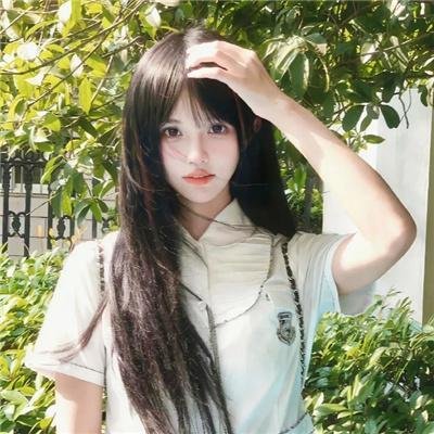 真情玫瑰